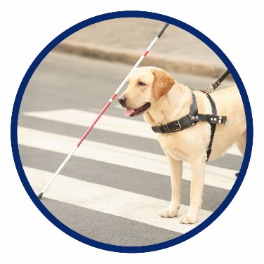 A person with a service dog, crossing a road