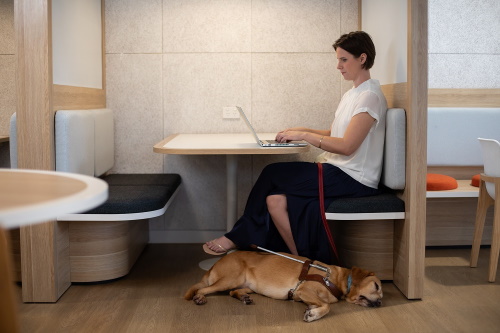 An image of Sarah on her laptop at work with her guide dog.