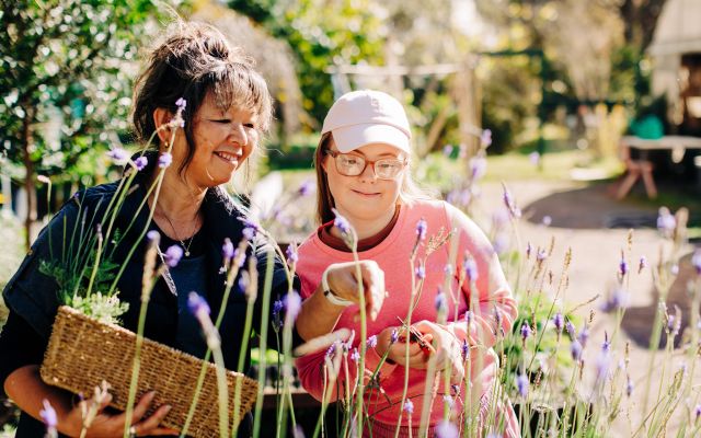 A person and a child gardening together among purple flowering plants in an outdoor garden, with a basket and pruning tools visible.