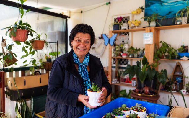 Person holding a small potted succulent in a plant-filled indoor space, with several other potted succulents arranged in a blue container.